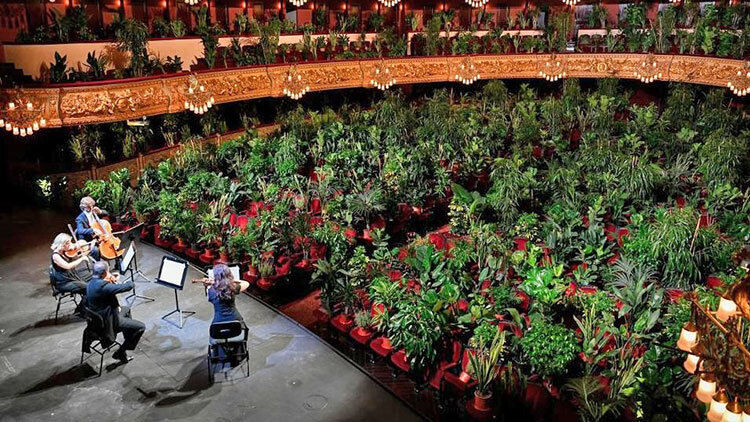 اجرای اپرا در بارسلونا برای گیاهان
