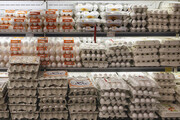 ممنوعیت نگهداری تخم‌مرغ خارج از سردخانه در مراکز عرضه