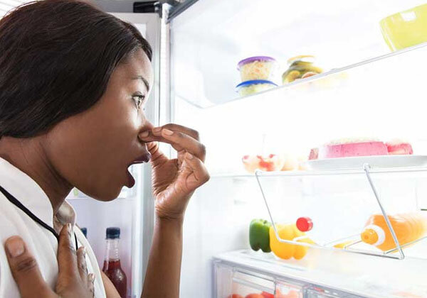 علت کپک زدن مواد غذایی در یخچال