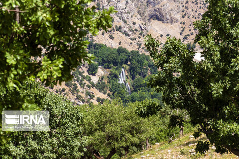 آبشار زردلیمه