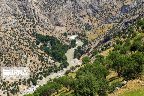 آبشار زردلیمه