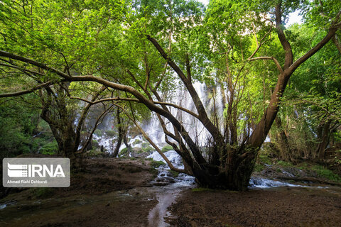 آبشار زردلیمه