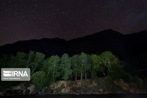 آبشار زردلیمه