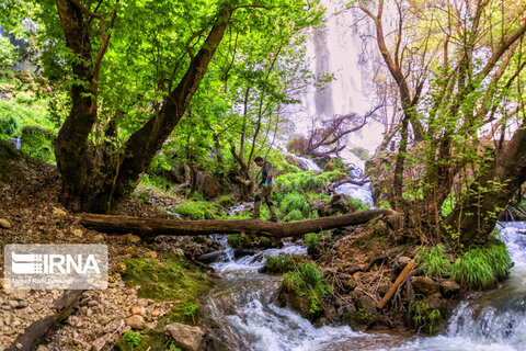 آبشار زردلیمه