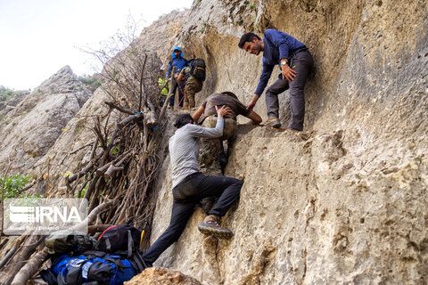 آبشار زردلیمه