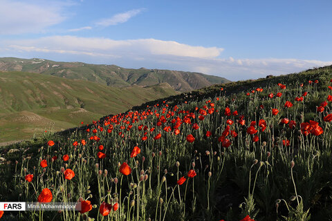 طبیعت سحرانگیز ارسباران