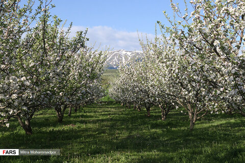 طبیعت سحرانگیز ارسباران