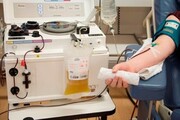 اشتباه سازمان انتقال خون در پرداخت وجه به بهبودیافتگان کرونا