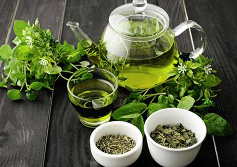 نوشیدنی سبز محبوب که التهاب بدن را کاهش می‌دهد