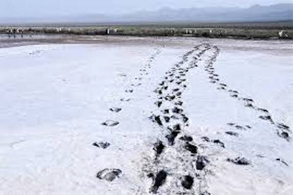 تالاب نمکزار کجی نهبندان