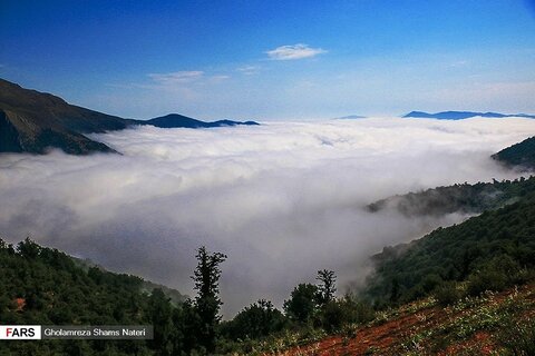 کوهستان در مه