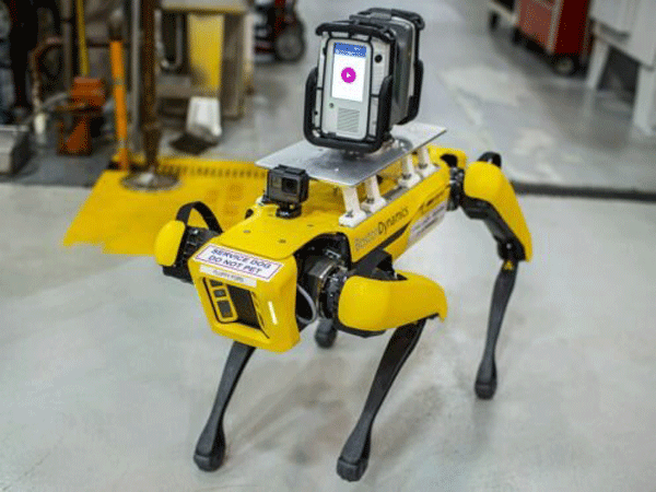سگ رباتيك