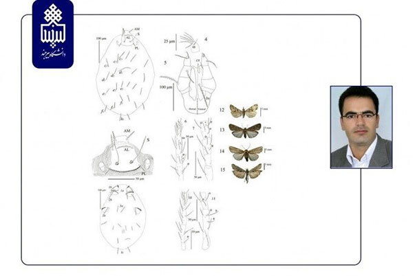 دكتر جواد نوعي