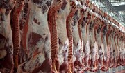 ماجرای خبر واردات گوشت حرام به کشور | سازمان دامپزشکی: مردم گوشت را تنها با این آرم بخرند