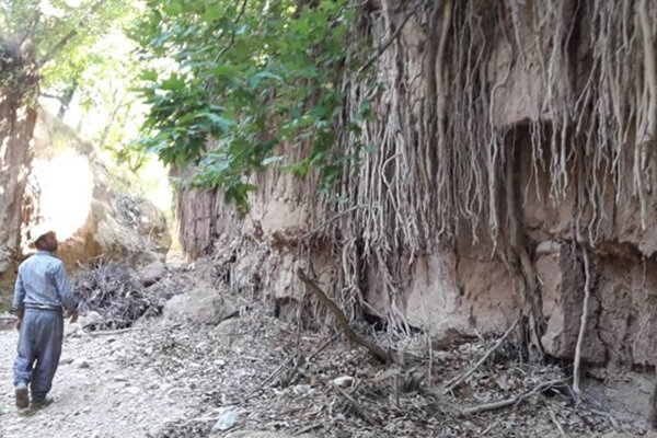 کانال کلاته نقی