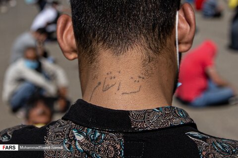 تصاویر طرح کاشف