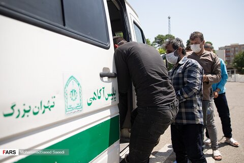 تصاویر طرح کاشف