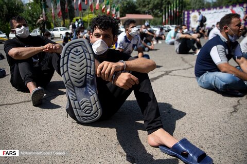 تصاویر طرح کاشف