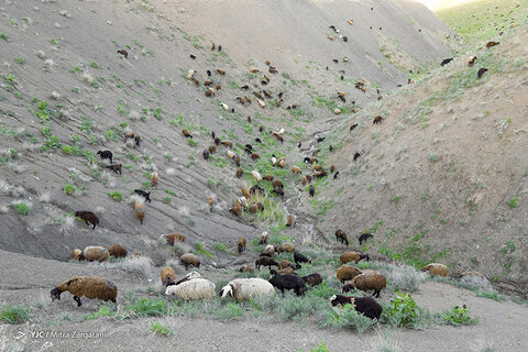 طبیعت زیبای نیشابور