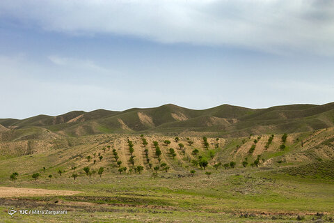 طبیعت زیبای نیشابور