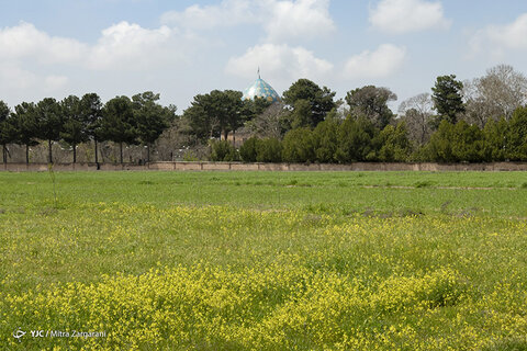 طبیعت زیبای نیشابور