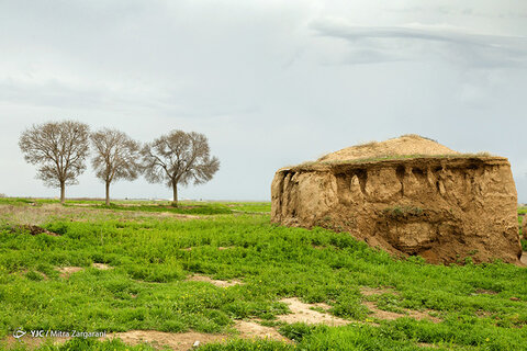 طبیعت زیبای نیشابور