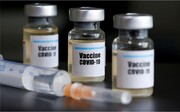 ایران واکسن کرونای تولید کدام کشور را می‌خرد؟ | آخرین وضعیت واکسن ایرانی