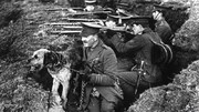 تصاویر | سربازی حیوانات در جنگ جهانی اول | خرس سربازان کانادا الهام بخش خلق وینی پو
