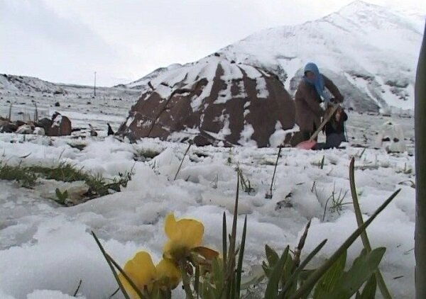 بارش برف تابستانی در ارتفاعات مشگین‌شهر - همشهری آنلاین