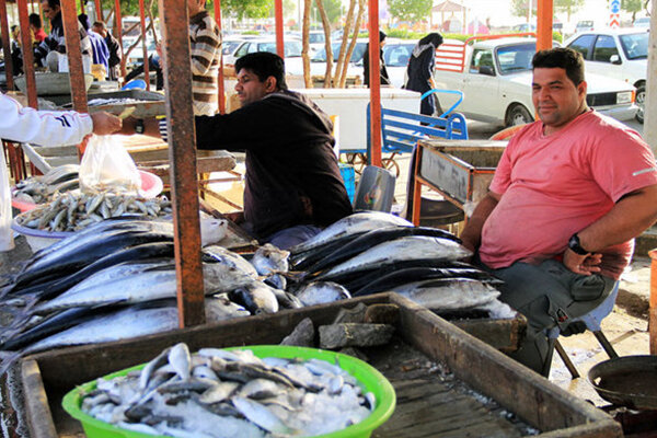 دست فروش ماهی