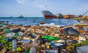 اثرات ویرانگر آلودگی بر اکوسیستم های دریایی