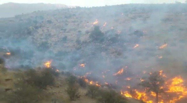 آتش سوزي مراتع