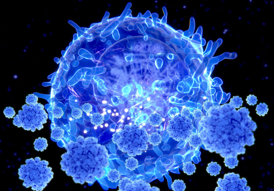 ُ T cells