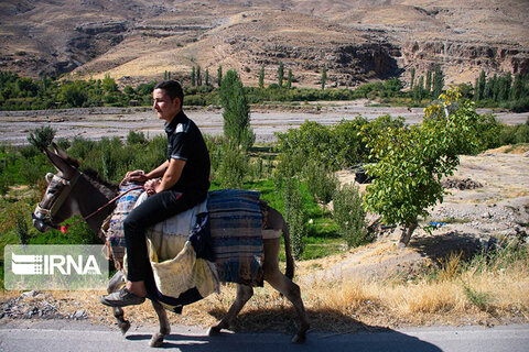 امرودک، طبیعتی زیبا در دل کوه‌های هزار مسجد