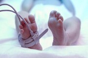 زنده شدن نوزاد دوقلو در سردخانه + جزئیات | بچه‌دار شدن یک زن پس از ۲۲ سال درمان ناباروری ، گفتند آنها مرده‌اند اما...
