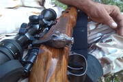 دستگیری شکارچی خودنما | تصویر این شکارچی خارپشت تَشی را ببینید