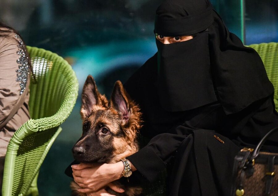 اولین کافی شاپ ورود با سگ در عربستان