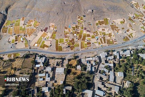 ملایر انگور و کشمش