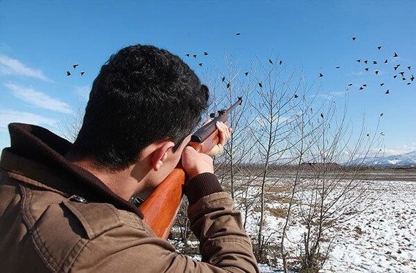 شکار پرندگان