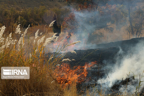 آتش‌سوزی در کوه آبیدر