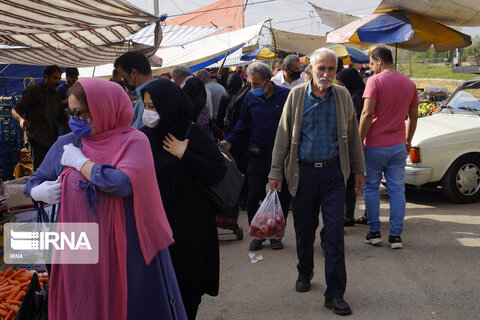 بازار هفتگی تولمشهر