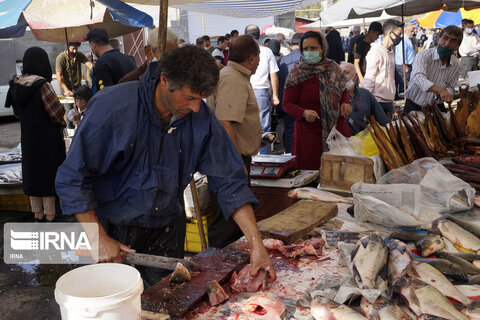بازار هفتگی تولمشهر