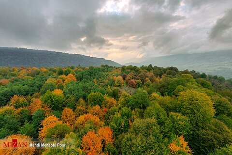 جادوی رنگ و پاییز