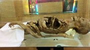ماجرای عجیب زنی که بعد از ۱۳۰۰ سال جسدش هنوز سالم است | جسدِ خوابیده در موزه کیست؟
