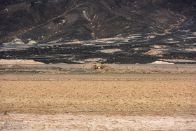 آلودگی خطرناک در این منطقه از کشور همه را نگران کرد؛ مسئولان فورا اقدام کنند | این مواد پتانسیل ایجاد بیماری‌های خطرناک را دارد!