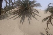روستاهای ریگان زیر شن و ماسه | ۱۶ روستا خالی از سکنه شد