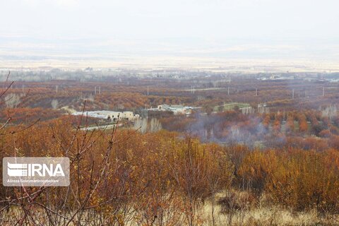 ونایی