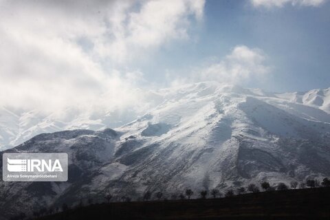 ونایی