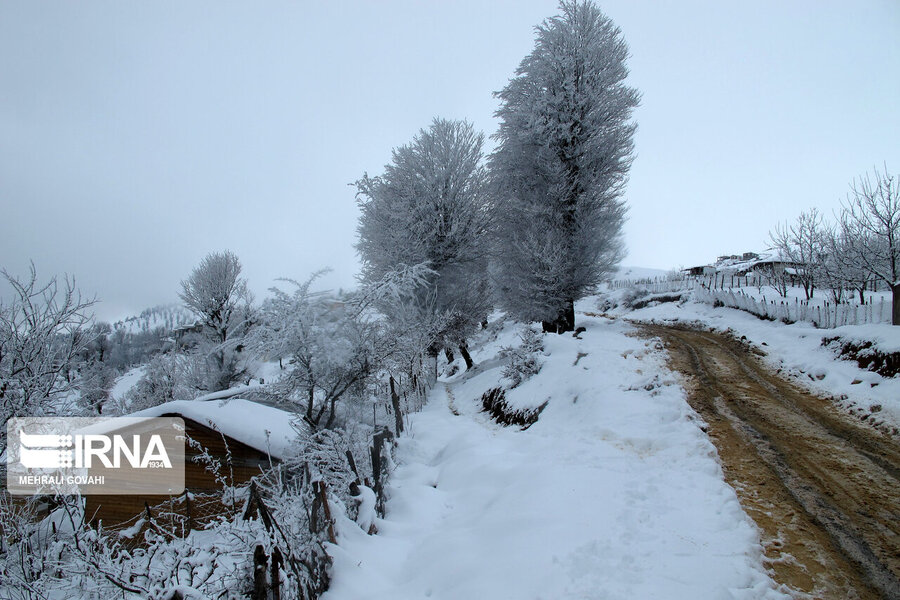 برف در روستاهای ییلاقی رضوانشهر‎