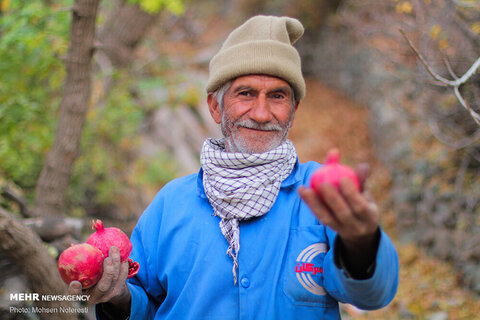 پاییز در روستای گردشگری «دزگ»